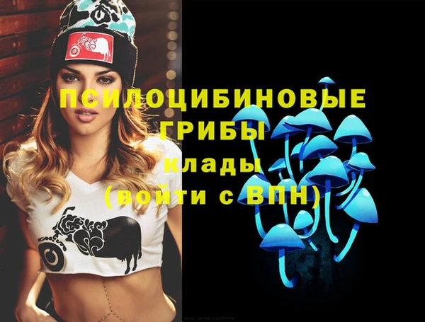 прущая мука Абинск