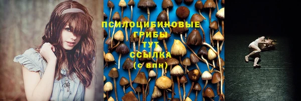 герыч Абаза