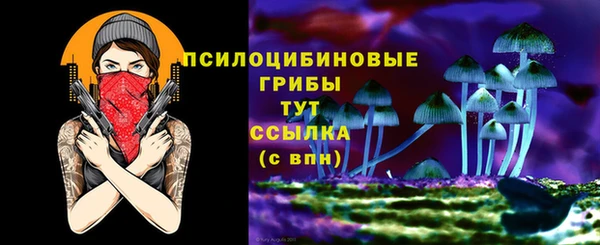 герыч Абаза