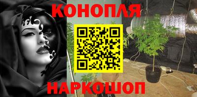 СК Будённовск