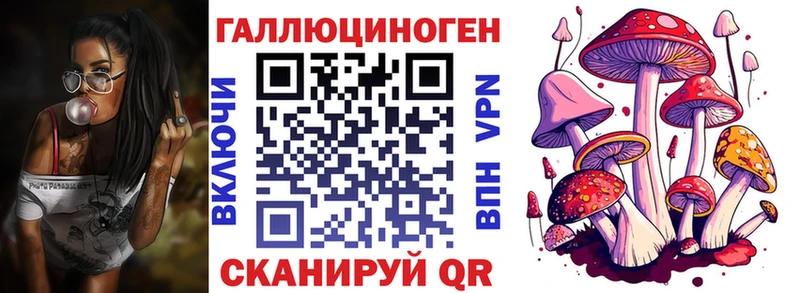Галлюциногенные грибы Psilocybe  мориарти клад  Великий Новгород  что такое  
