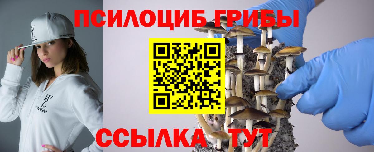 Псилоцибиновые грибы ЛСД Великий Новгород