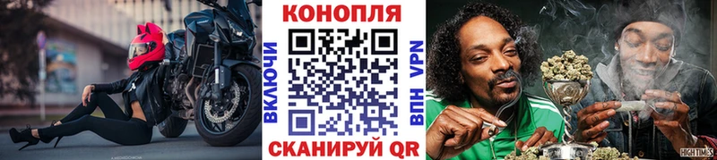 omg   Великий Новгород  Бошки марихуана Bruce Banner 